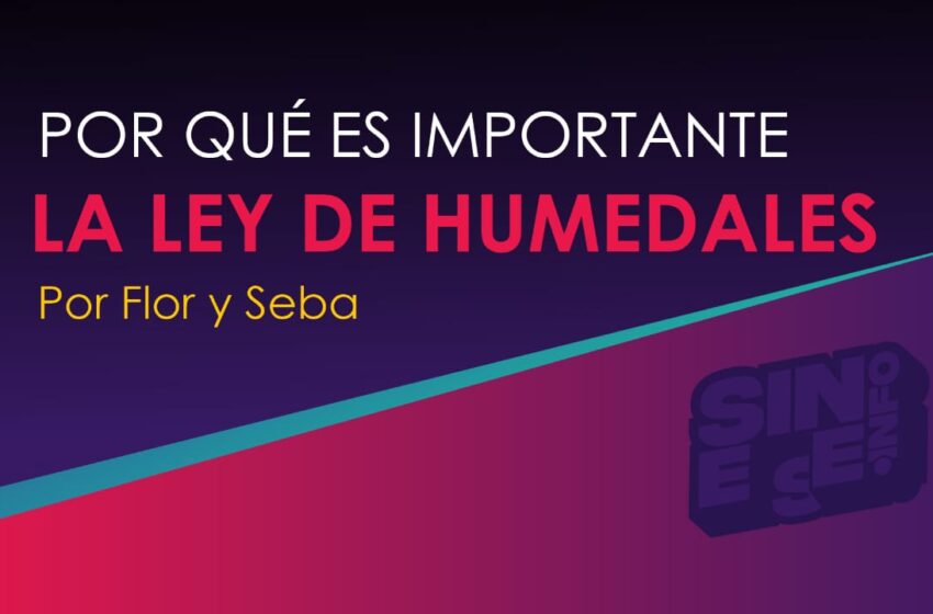  ¿Por qué es importante una ley de humedales?